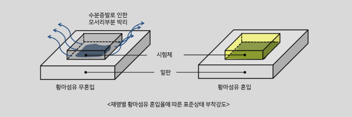 재령별 황마섬유 혼입율에 따른 표준상태 부착강도