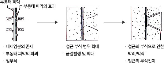 <부식인자 차단 비교> 타 제품과 자사제품 유해요소 비교를 한 이미지이다. 일반(에폭시, 세라믹) 도료의 경우 콘크리트를 감싼 도막이 돌가루, 세라믹 분할도막으로 이루어져 부식침투가 쉬운 구조이며, 금속혼합물 도료의 경우 금속 혼합물 도막으로 이루어져 부식 침투가 어려운 구조이다.